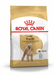 Royal Canin Adult Poodle Barboncino croccantini secco cani 1.5kg-Royal Canin-Emalles